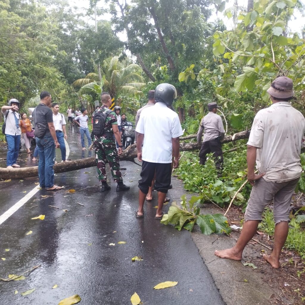 Tanggap Darurat Cuaca Ekstrem, Polsek Gerung Atasi Pohon Tumbang