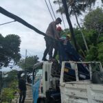 Pohon tumbang timpa kabel listrik, sejumlah tiang listrik tumbang tak kuasa menahan beban