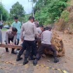 Personel Polres Sumbawa Barat Evakuasi Bongkahan Batu Raksasa di Jalan Raya