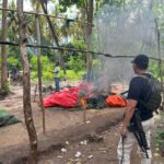 Gerebek Judi Sabung Ayam, Polsek Sape Sita 4 Ekor Ayam Jago dan Bakar Gelanggang Aduan