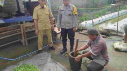 Petani Lombok Barat Buat Pestisida Nabati, Lebih Ramah Lingkungan!