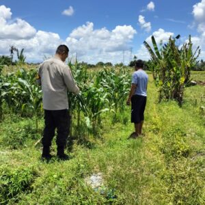 Bhabinkamtibmas Ajak Petani Labuapi Manfaatkan Lahan Kosong