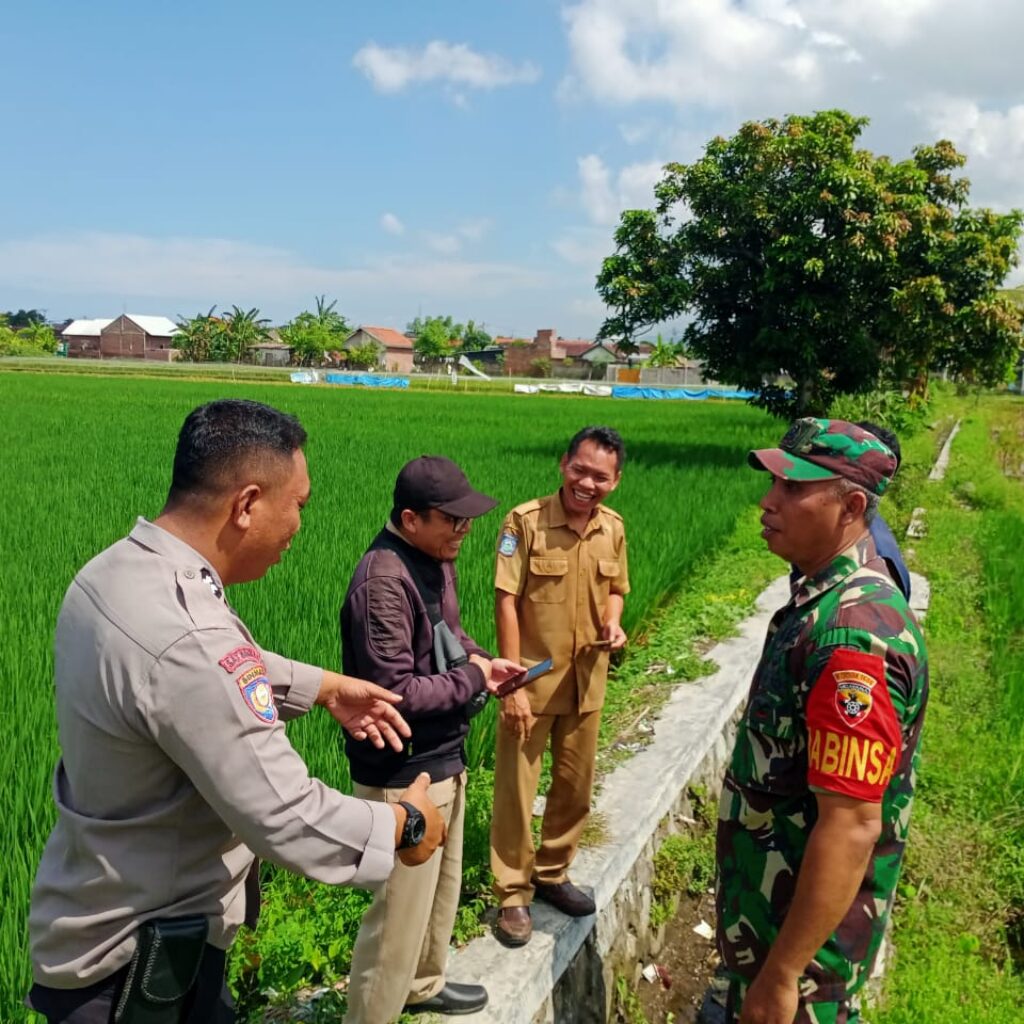 Pengecekan Lahan Kosong Karang Bongkot: Dukung Ketahanan Pangan!