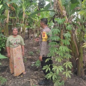 Bhabinkamtibmas Dukung Ketahanan Pangan, Warga Makin Semangat Bertani!