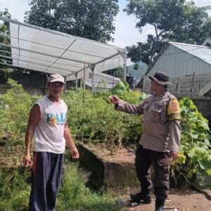 Inovasi Ekobrik: Warga Lembahsari Sulap Pekarangan Jadi Kebun Sayur