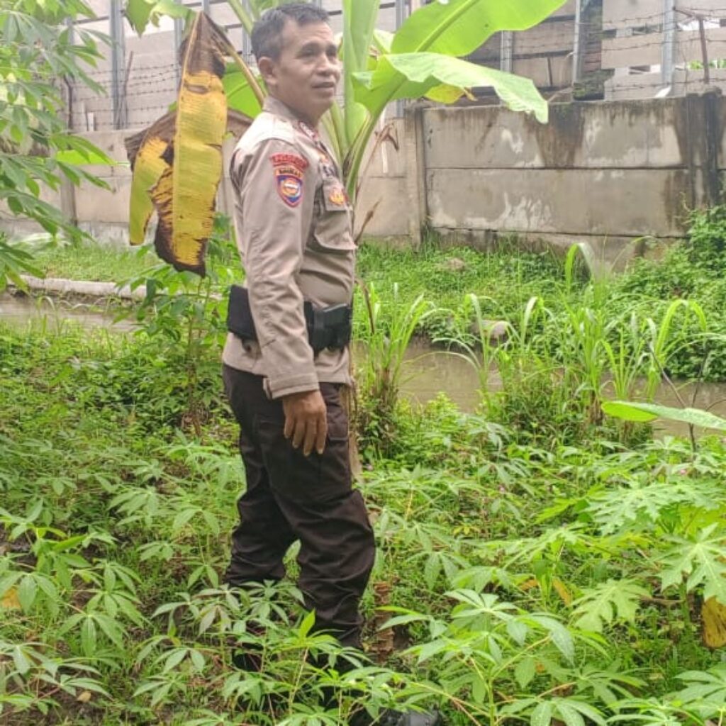 Polsek Labuapi Dukung Ketahanan Pangan, Bhabinkamtibmas Terjun ke Desa