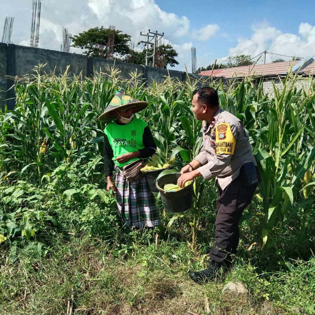 Dukung Ketahanan Pangan, Bhabinkamtibmas Bagik Polak Barat Sambangi Petani di Dusun Jogot