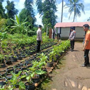 Kanit Binmas Polsek Pringgarata Tinjau Pekarangan Bergizi Milik Warga.