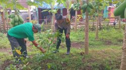 Bhabinkamtibmas Desa Mantang Polsek Batukliang Gencar Kampanyekan Pekarangan Bergizi di Masyarakat Binaan