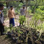 Bhabinkamtibmas Desa Batujangkih Polsek Prabarda Tinjau Pekarangan Bergizi Milik Warga Binaan.