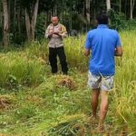 Polisi dan Petani Lombok Bersatu Jaga Ketahanan Pangan