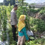 Sinergi Polri dan Petani: Wujudkan Ketahanan Pangan di Labuapi