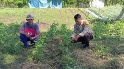 Bhabinkamtibmas Desa Kempo Bantu Warga Binaan dalam Program Ketahanan Pangan