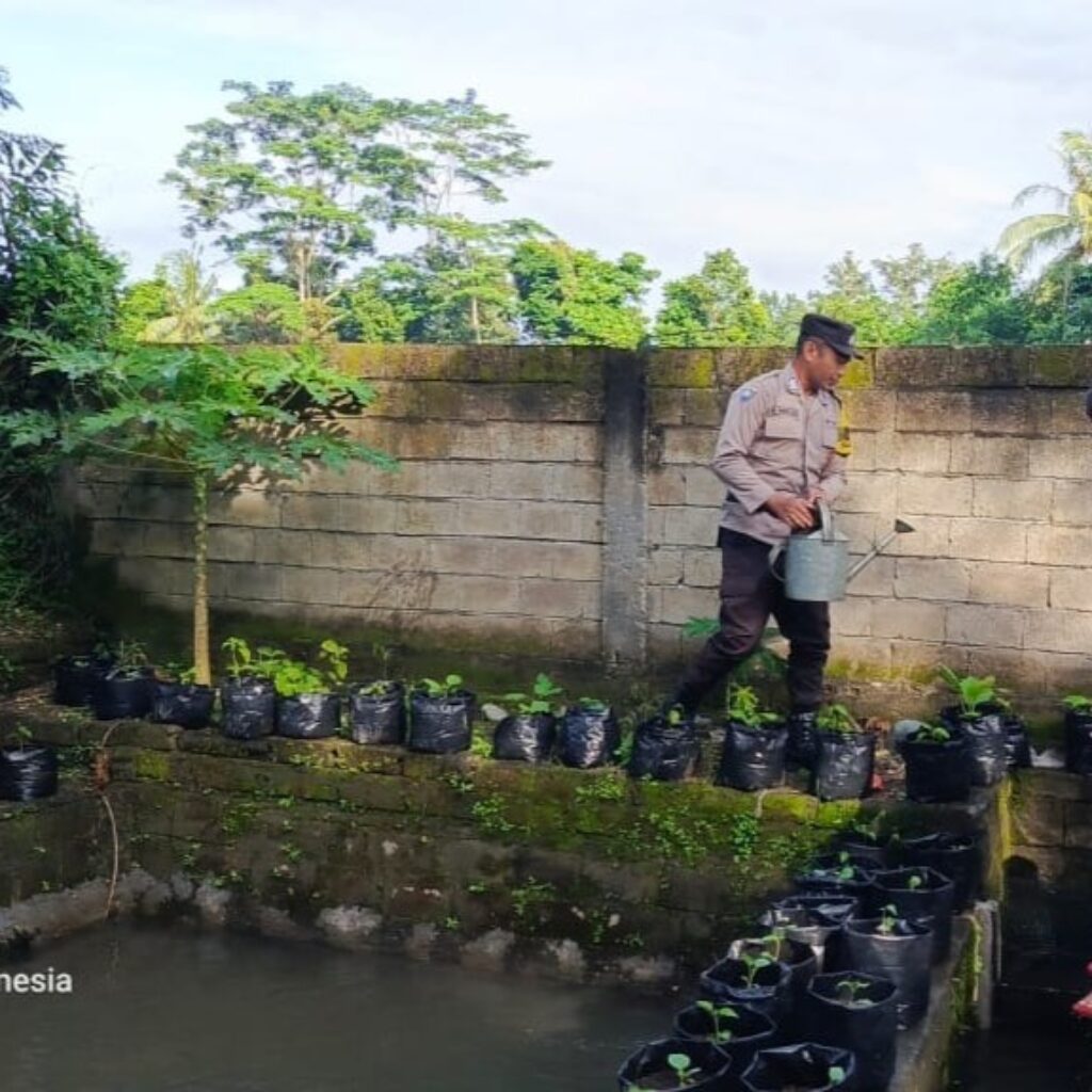Pemuda Kuripan Tanam Harapan Lewat Sayur dan Ikan