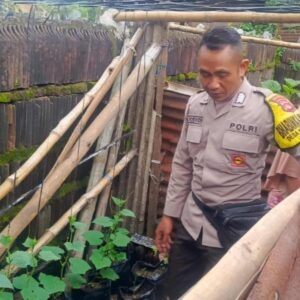 Bhabinkamtibmas Lombok Barat Dorong Ketahanan Pangan Lewat Lahan Kosong