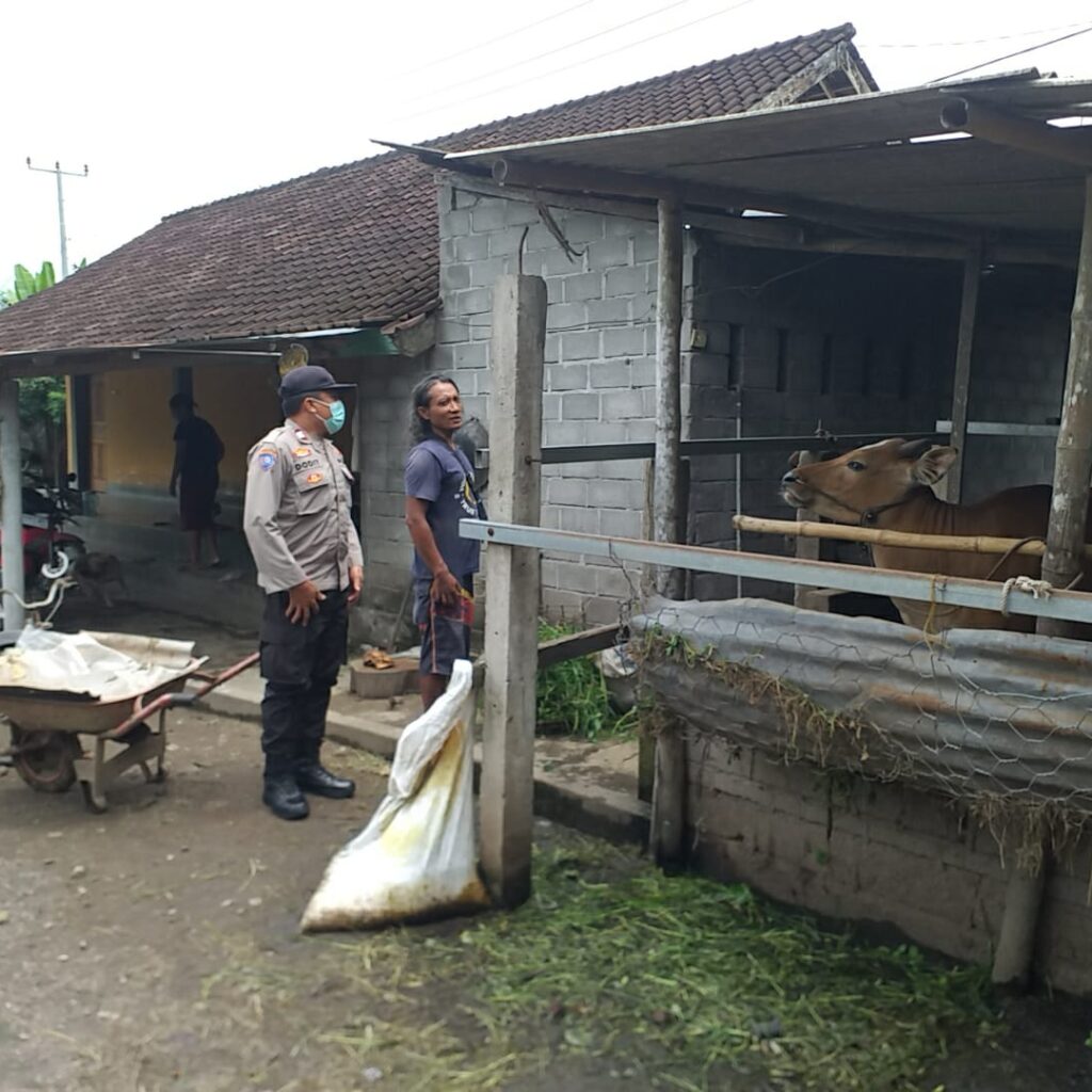 Bhabinkamtibmas Jagaraga Dorong Ketahanan Pangan Berbasis Komunitas