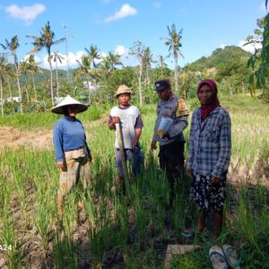 Bhabinkamtibmas Desa Giri Tembesi Dukung Ketahanan Pangan dengan Sambang ke Petani