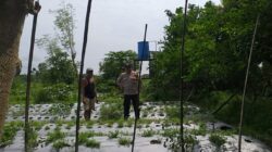 Sambang Warga, Bhabinkamtibmas Gaungkan Ketahanan Pangan Desa
