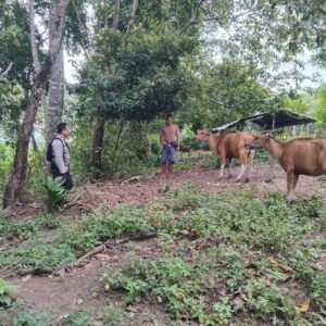 Polisi dan Warga Bersinergi Wujudkan Ketahanan Pangan Keluarga di Lombok Barat