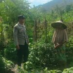 Polres Lombok Barat Dukung Ketahanan Pangan Lewat Pendampingan Petani