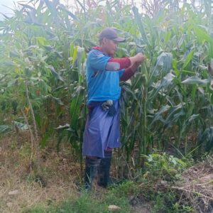 Polri Dukung Ketahanan Pangan di Desa Beleka Lombok Barat