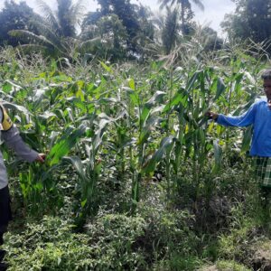 Polri Lombok Barat Gencarkan Ketahanan Pangan di Montong Are