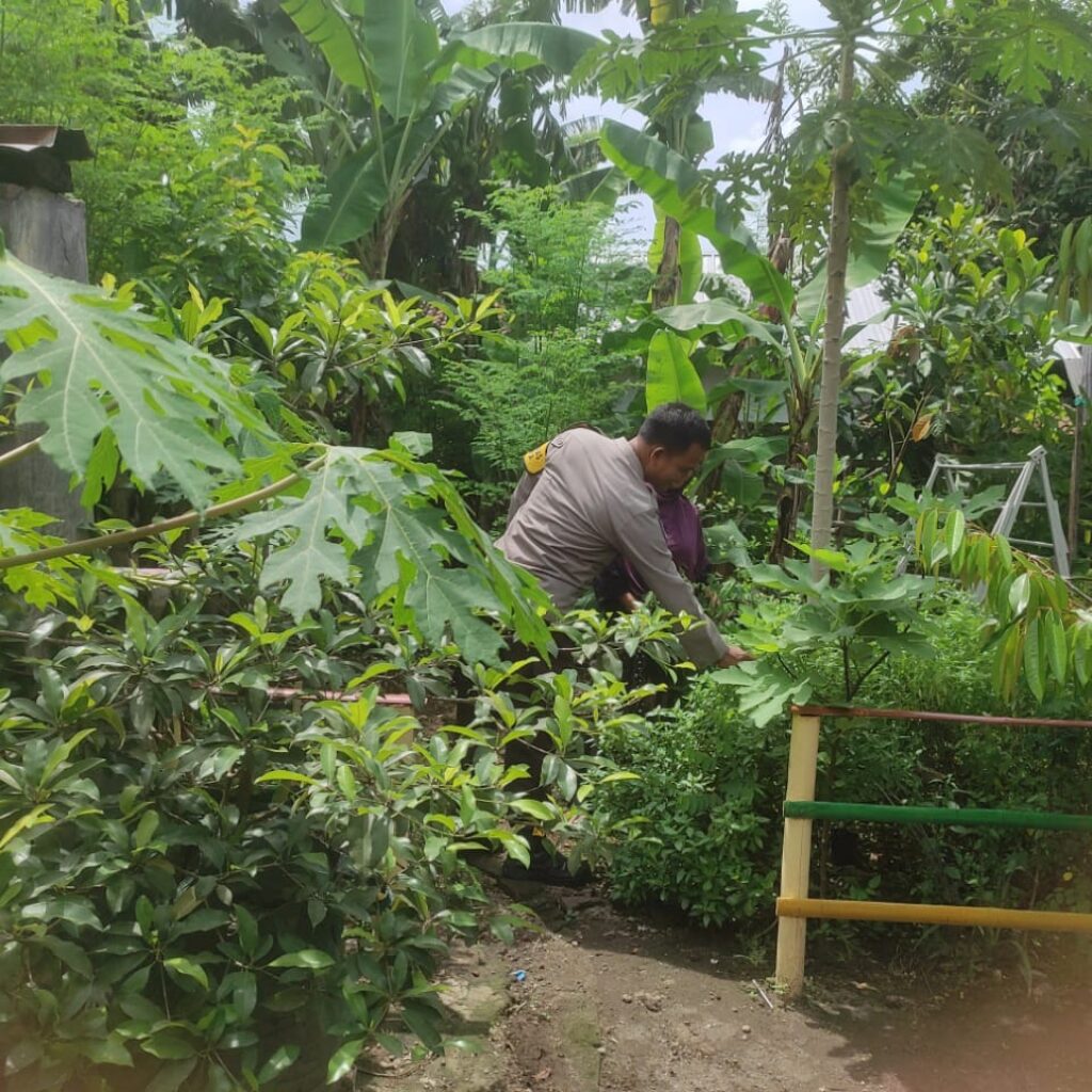 Bhabinkamtibmas Gerung Dukung Ketahanan Pangan Lewat Pekarangan Warga