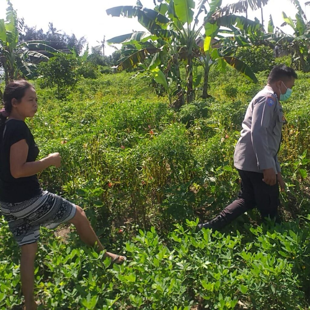 Polri Dorong Ketahanan Pangan Lewat Pemanfaatan Lahan di Lombok Barat