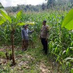 Bhabinkamtibmas Sekotong Timur Dampingi Petani Dukung Ketahanan Pangan
