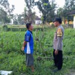 Bhabinkamtibmas Kuripan Dorong Ketahanan Pangan Lewat Pemanfaatan Lahan