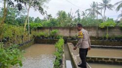 Ketahanan Pangan Dimulai dari Dusun Pesongoran, Lombok Barat