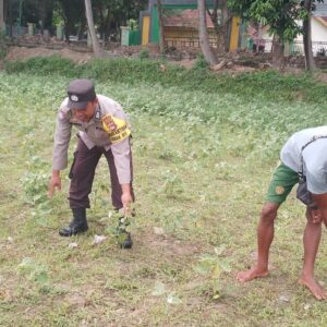 Bhabinkamtibmas di Gerung Dorong Kemandirian Pangan di Desa Taman Ayu
