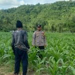Bhabinkamtibmas Sekotong Dorong Pemanfaatan Lahan untuk Ketahanan Pangan