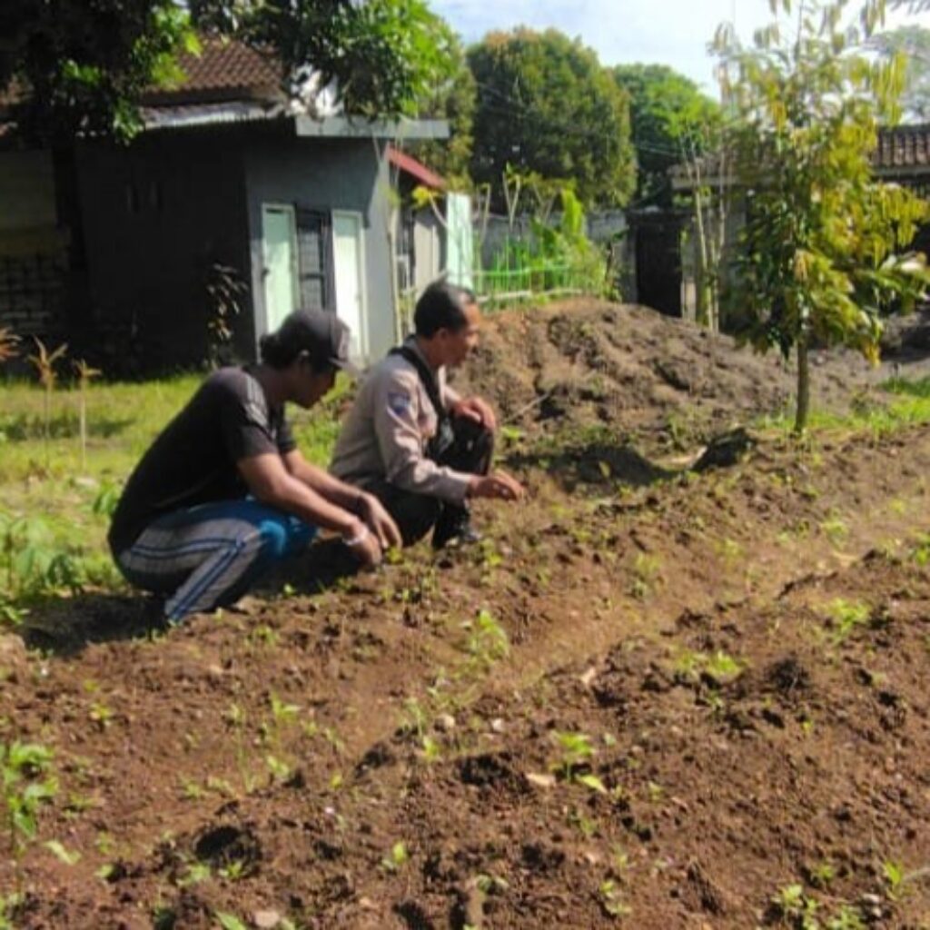 Polri Dukung Ketahanan Pangan Desa Senteluk, Lombok Barat