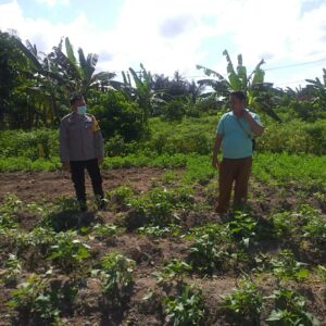 Polri Dorong Ketahanan Pangan Lewat Pendampingan Petani di Lombok Barat