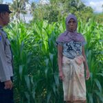 Bhabinkamtibmas Gerung Dukung Ketahanan Pangan Lewat Sambang Petani