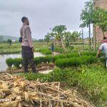 Bhabinkamtibmas Lelede Dukung Ketahanan Pangan di Lombok Barat