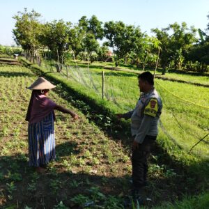 Bhabinkamtibmas Desa Jembatan Gantung Dorong Ketahanan Pangan Warga