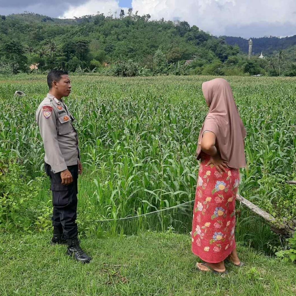 Polsek Lembar Dukung Ketahanan Pangan Lewat Sambang Petani di Sekotong Timur