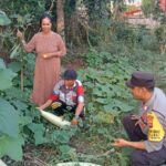 Dukung Program Ketahanan Pangan Nasional, Bhabinkamtibmas Polsek Monta Tinjau Lahan Sayur Warga Binaan