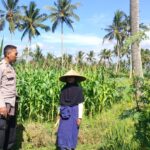 Bhabinkamtibmas Eyat Mayang Dukung Petani Jagung Demi Ketahanan Pangan