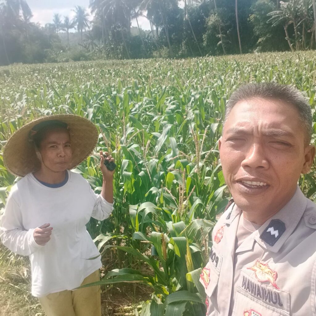 Dukungan Polri di Eyat Mayang, Petani Jagung Tak Sendiri