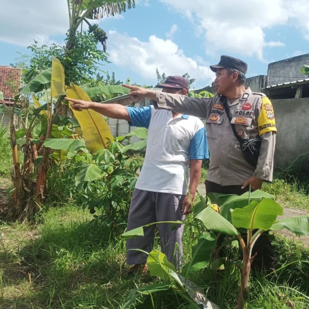 Ketahanan Pangan Dimulai dari Pekarangan, Inisiatif Bhabinkamtibmas di Dusun Dawung