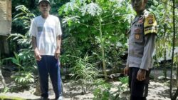 Batulayar Tunjukkan Peran Aktif Warga dalam Ketahanan Pangan Lokal