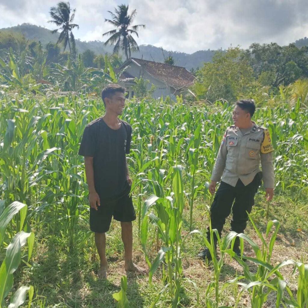 Bhabinkamtibmas Cendi Manik Dukung Ketahanan Pangan Lewat DDS di Sekotong