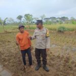 Bhabinkamtibmas Desa Montong Are Dorong Ketahanan Pangan Lokal