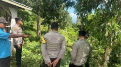 Hutan Lendang Damai Disiapkan untuk Pertanian Polikultur di Lombok Barat