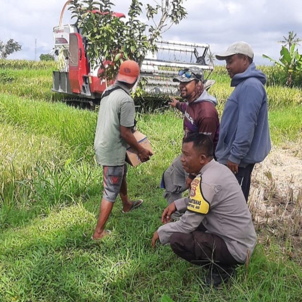 Bhabinkamtibmas Montong Are Dampingi Petani Wujudkan Swasembada Pangan