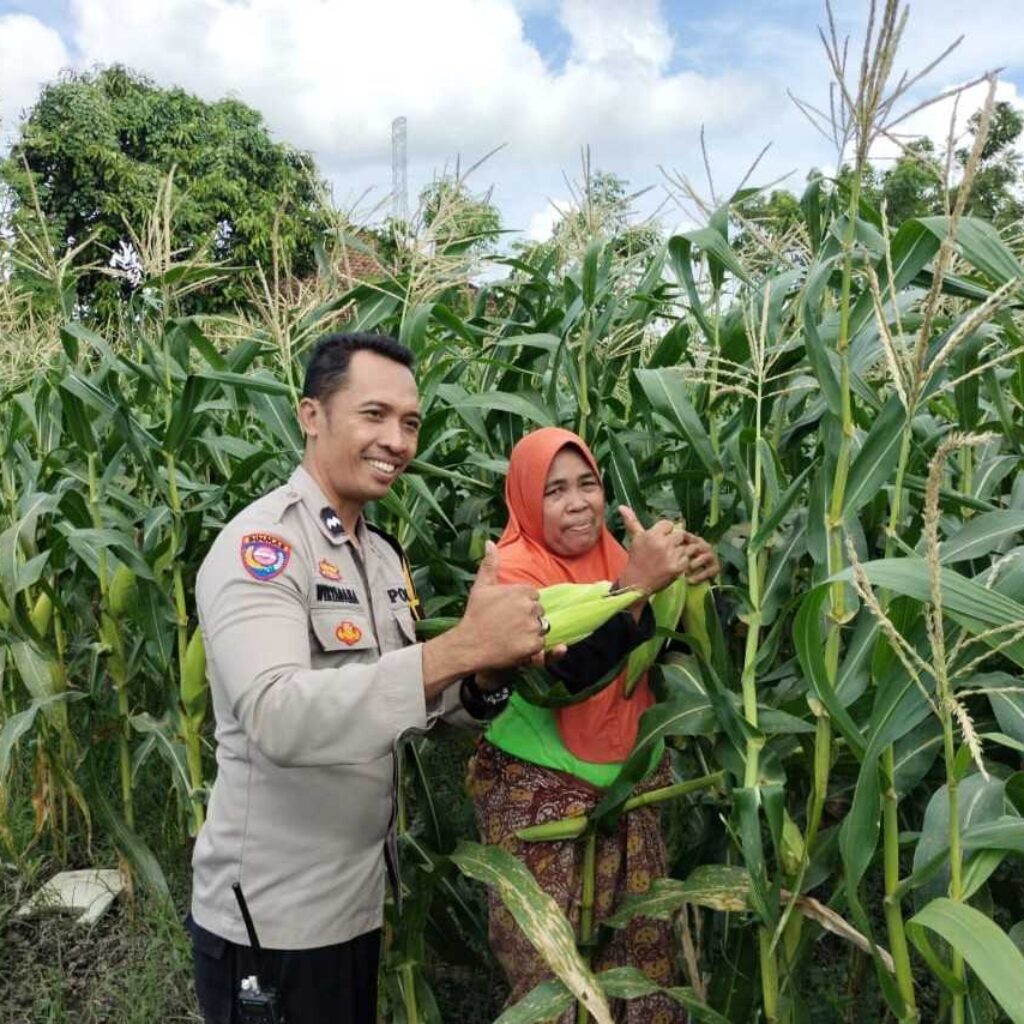 Bhabinkamtibmas Dorong Ketahanan Pangan di Labuapi melalui Pemanfaatan Lahan Warga