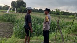 Polri Dorong Pemanfaatan Lahan Pekarangan di Kuripan Utara